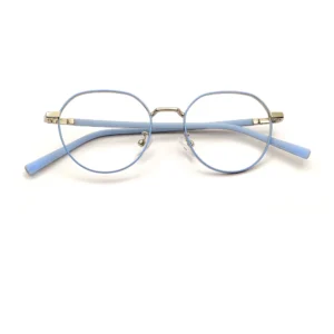 Premium Round Eyeglasses Online -63012